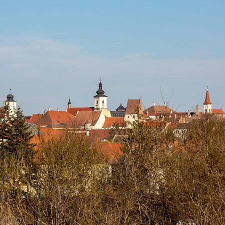 The Views Apartment Sibiu Exterior photo